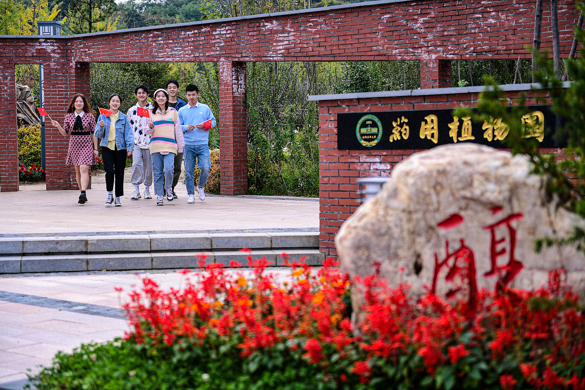 眉山药科职业学院毕业生就业前景及医药行业发展分析
