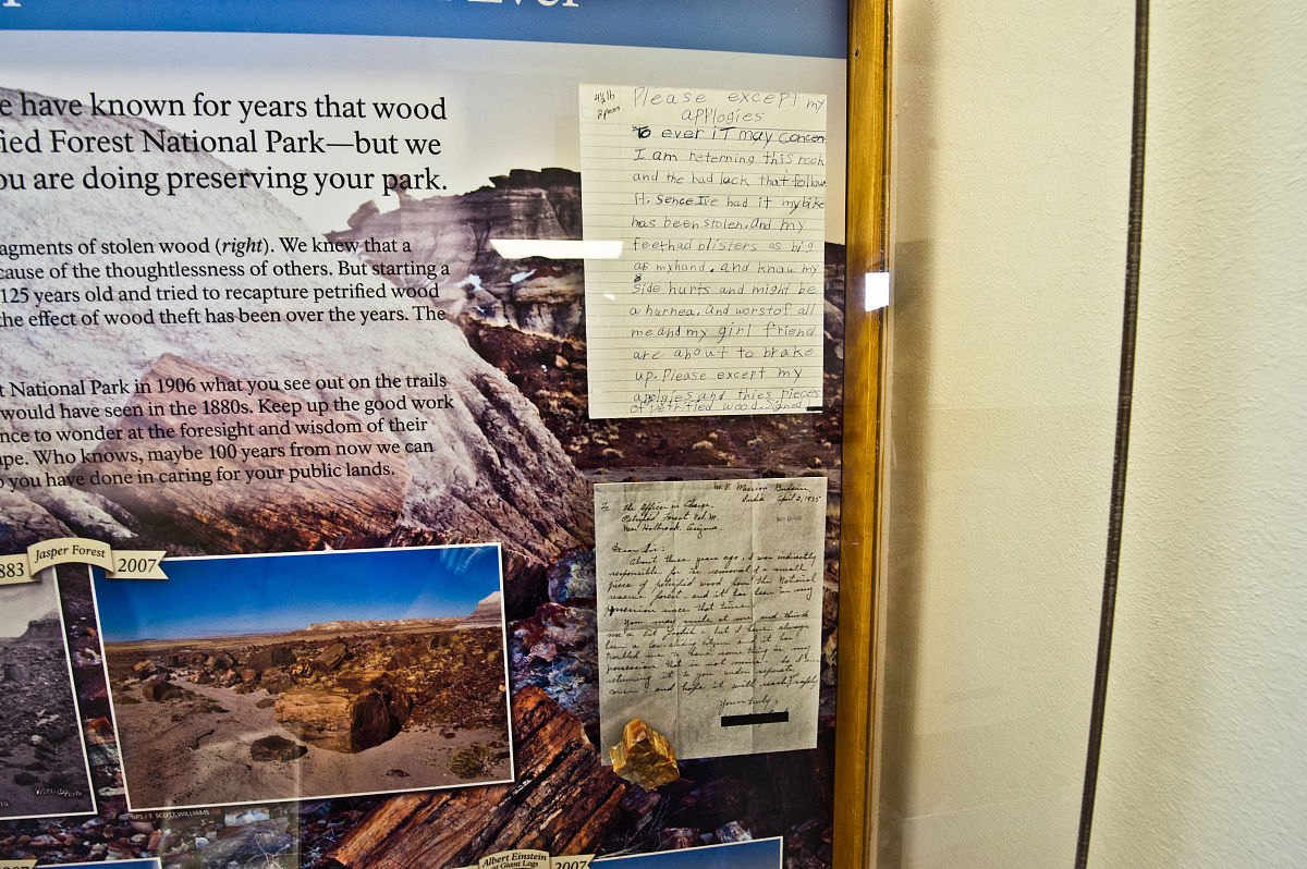 被起哄道歉指南：冷静应对，重建关系