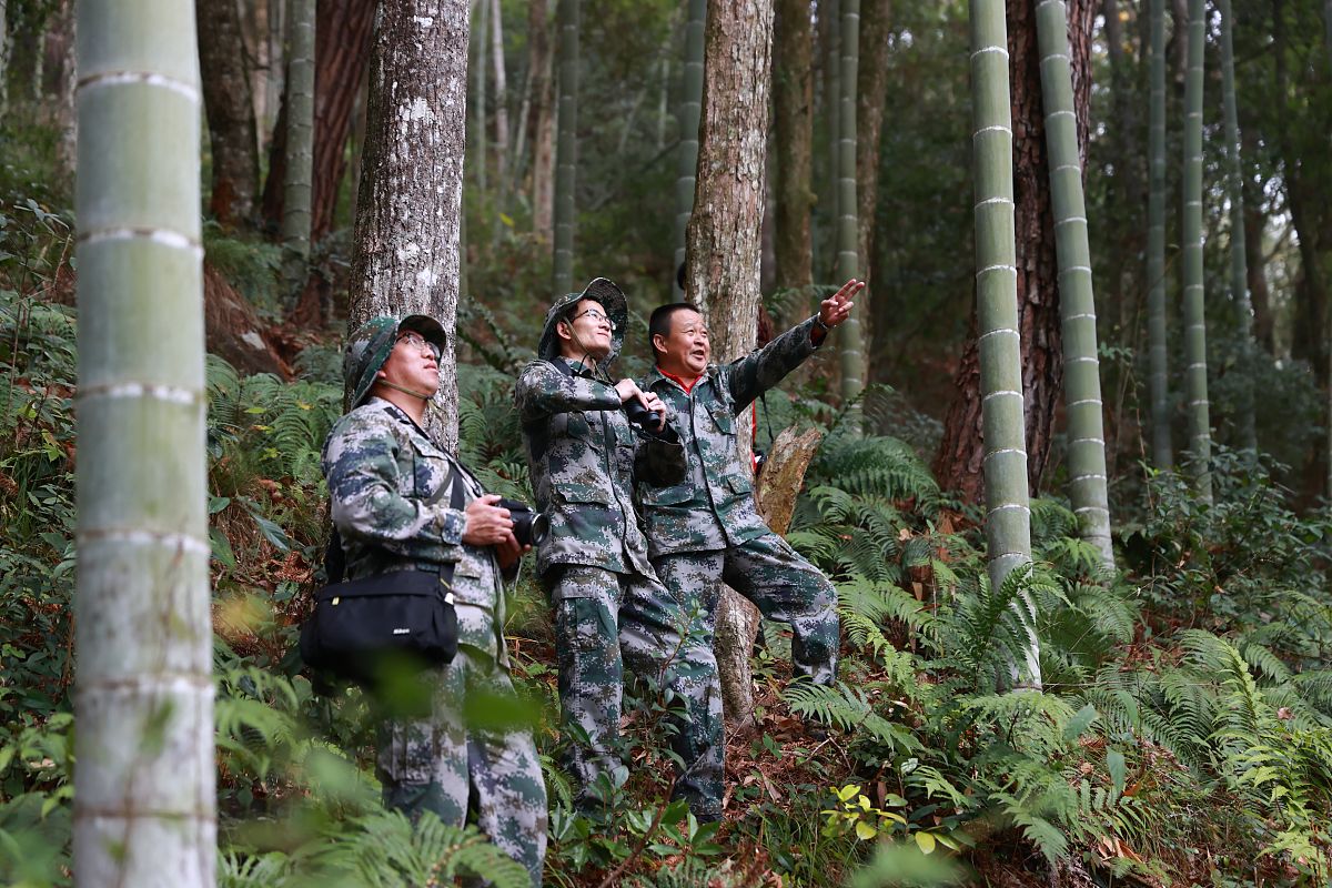 福建林业职业技术学院专升本