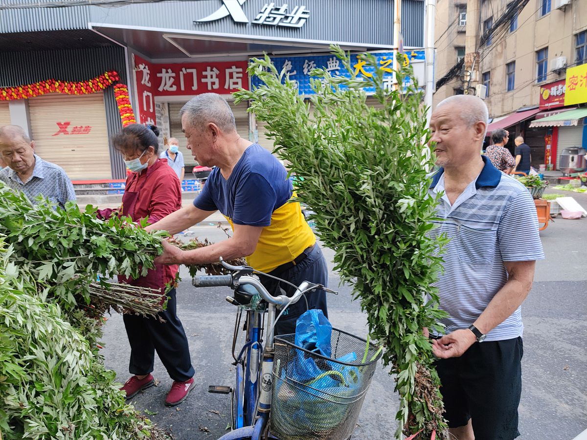 六月六晒红绿：传统习俗，祈福平安