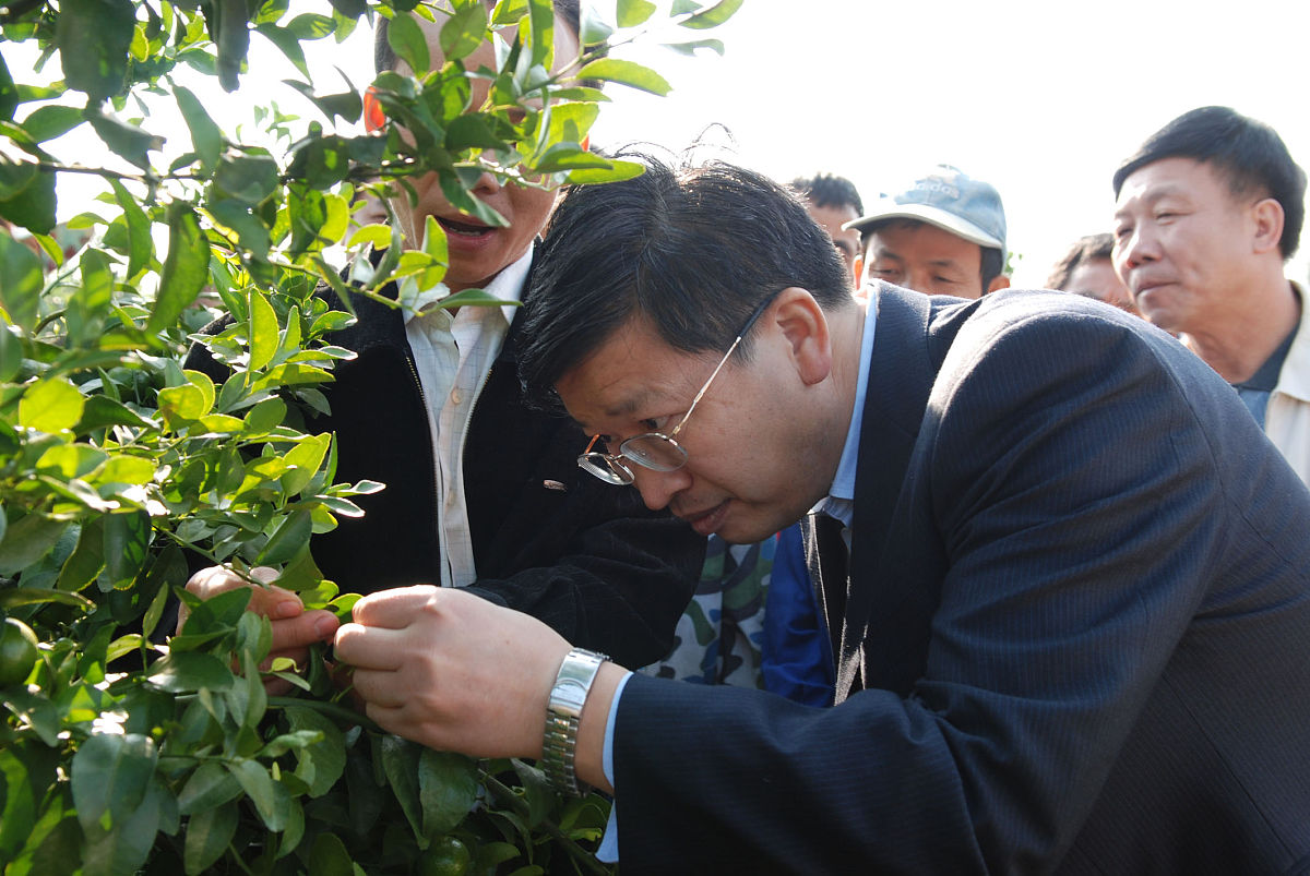 关于《商洛市核桃产业发展现状及对策》的论文研究背景不得少于800字。