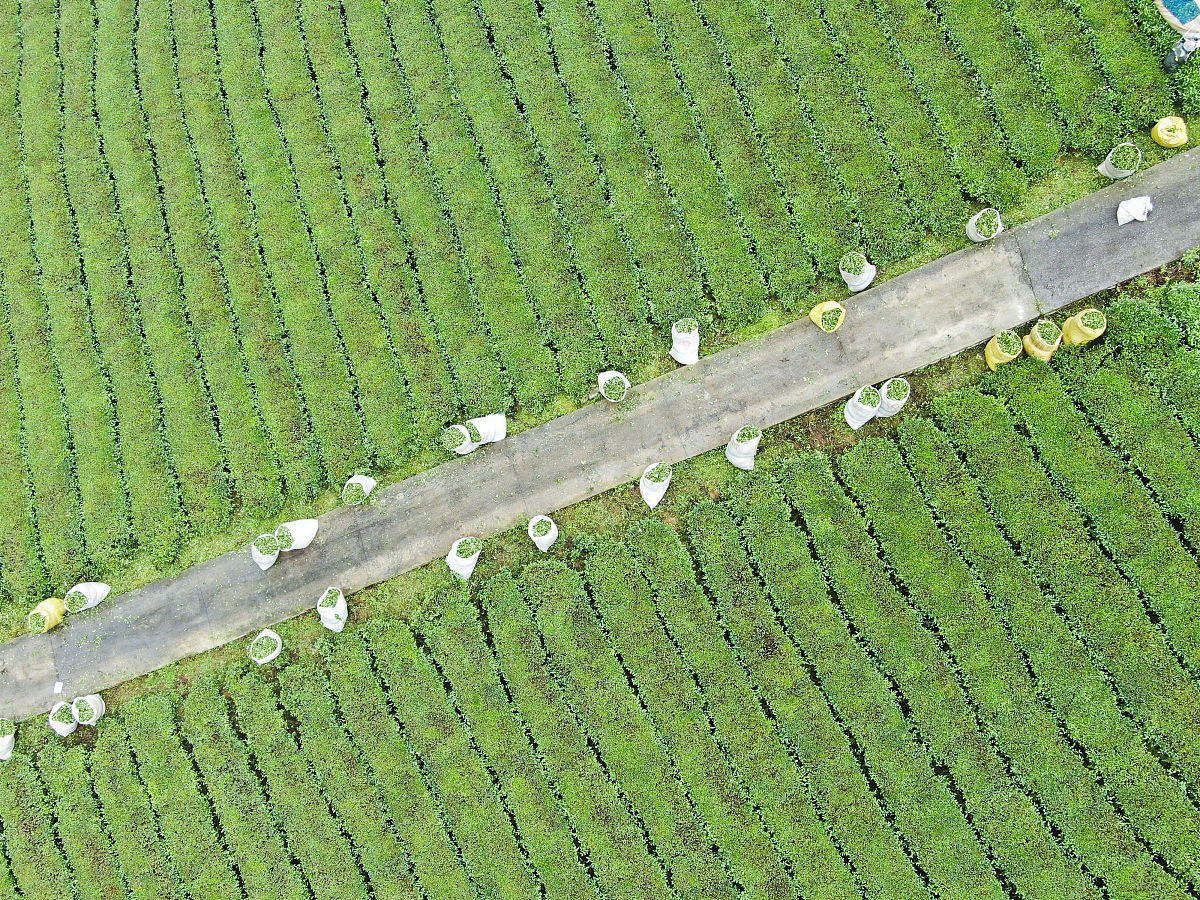 贵州女生读职高学校什么专业好？