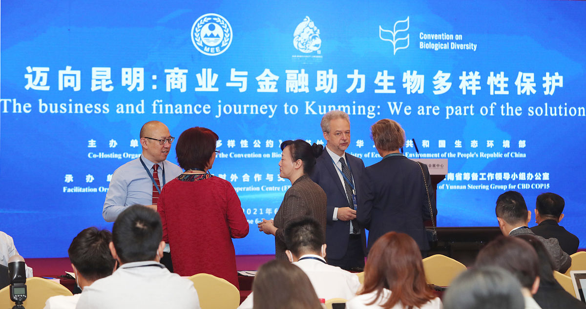 招募志愿者：全球化国际会议 | 抓住机遇，共塑未来