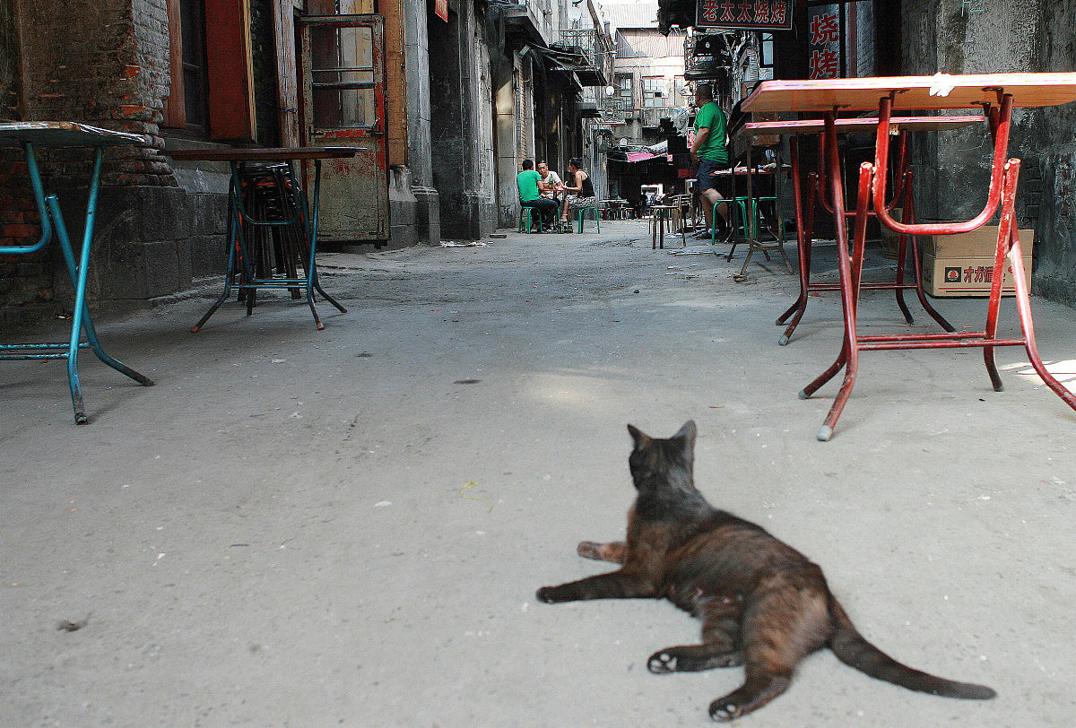 44米入户门洞做多大的门合适一点呢帮我用200字详细描述