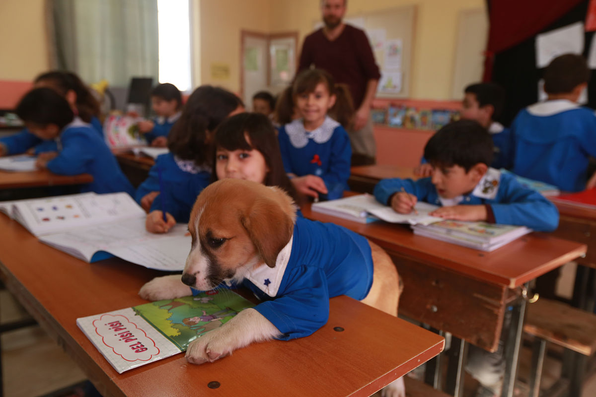 长治县职业高级中学2023年来校路线怎么走 好不好