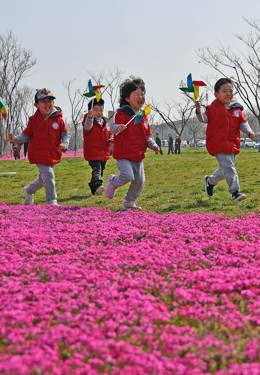 幼儿园春游：公园里的快乐时光