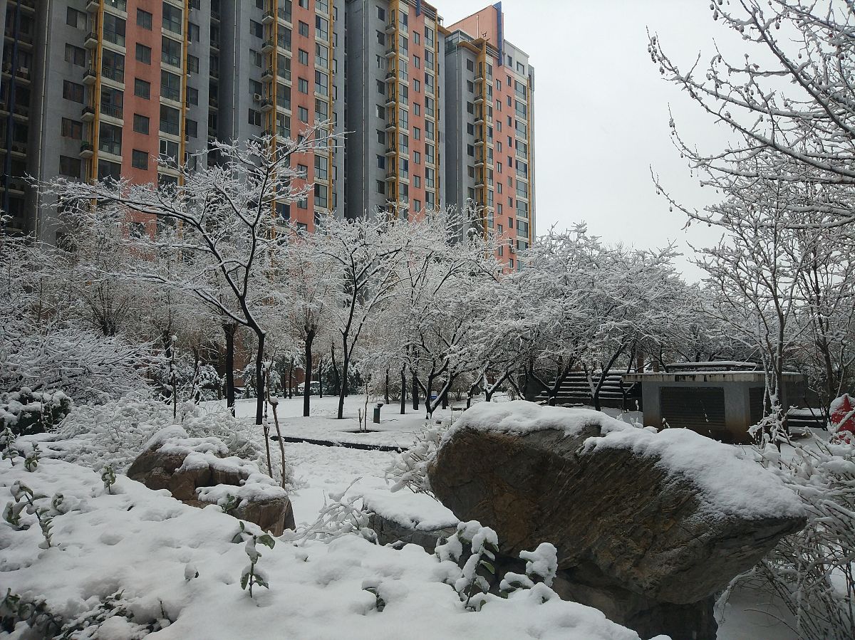 北京明天天气预报查询