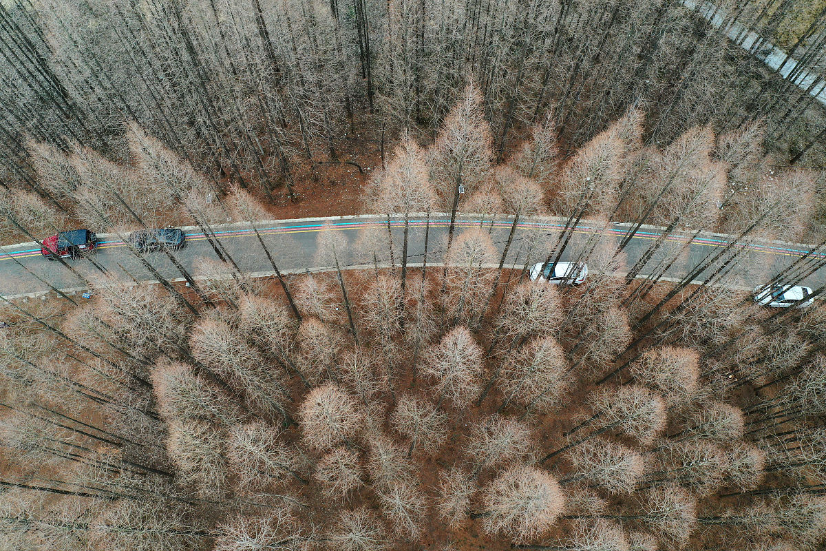 结构面网络模拟的成果能否用来确定岩质边坡的潜在滑面位置为什么？