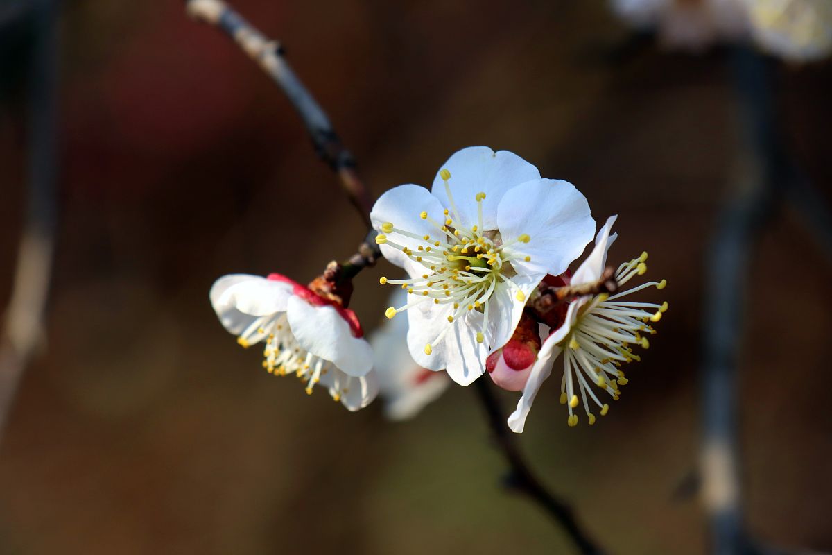 宜昌2022年初中生读卫校用