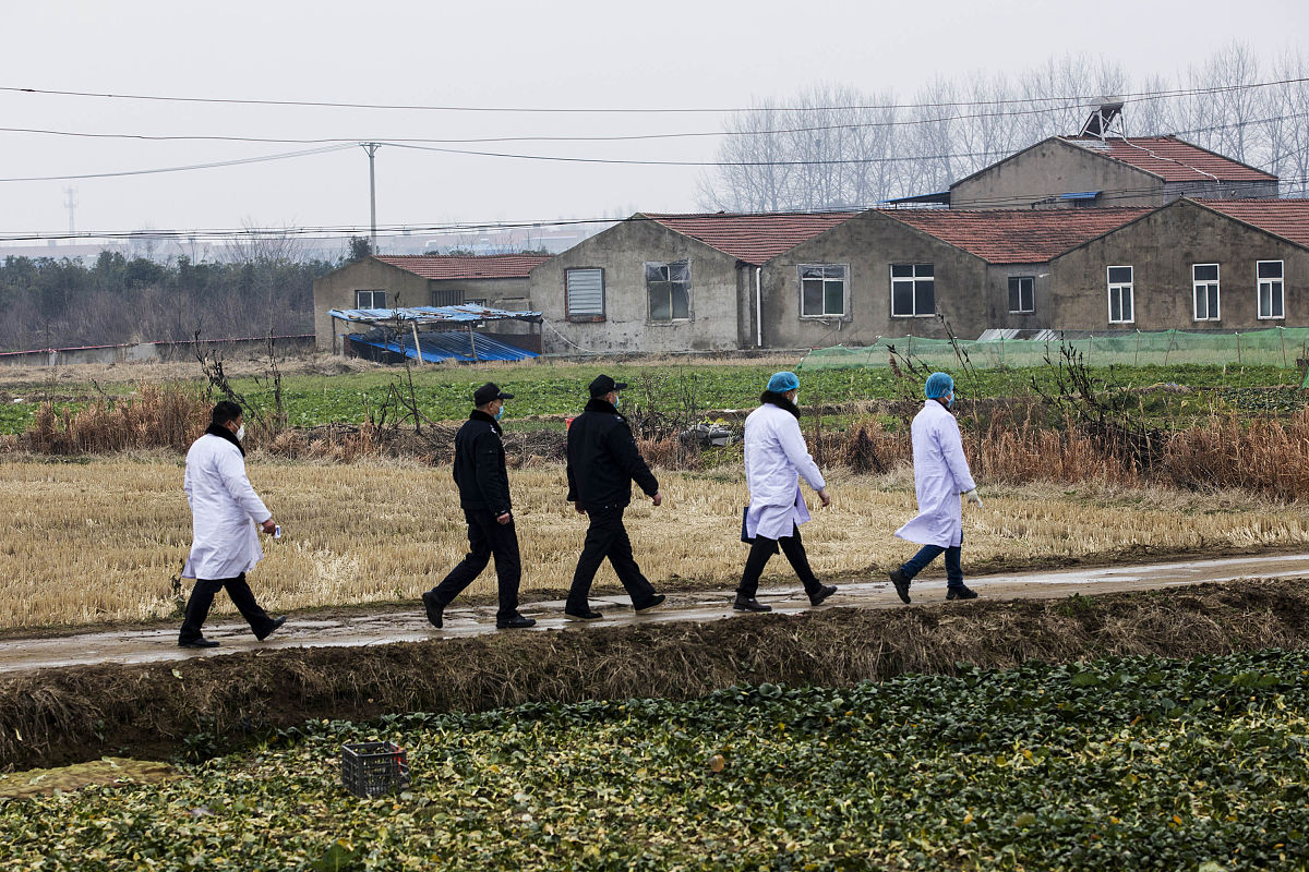 延安市宝塔区春季农田鼠害防治策略：规范鼠药销售与使用