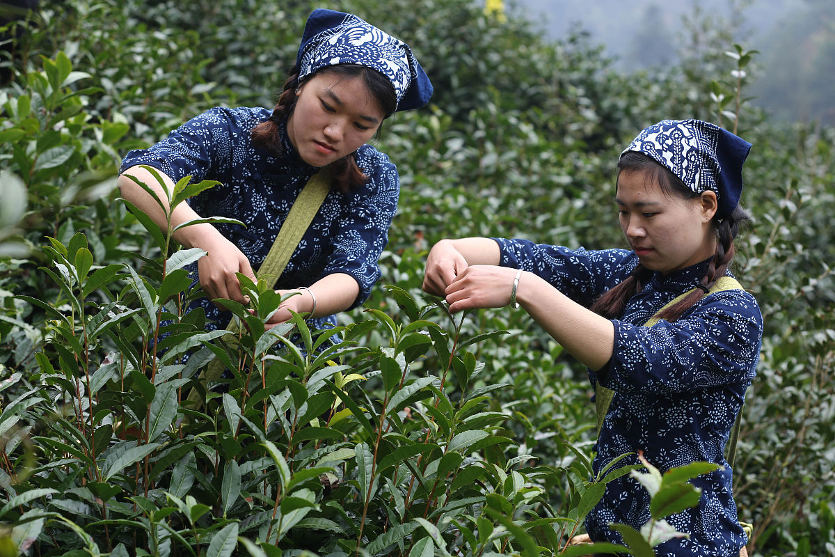 65.8亩土地，亩产600-750公斤，如何分配产量？