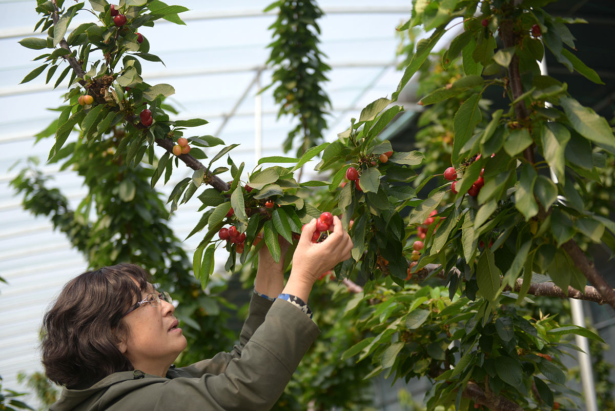 企业如何参与乡村振兴？ - 策略与实践指南