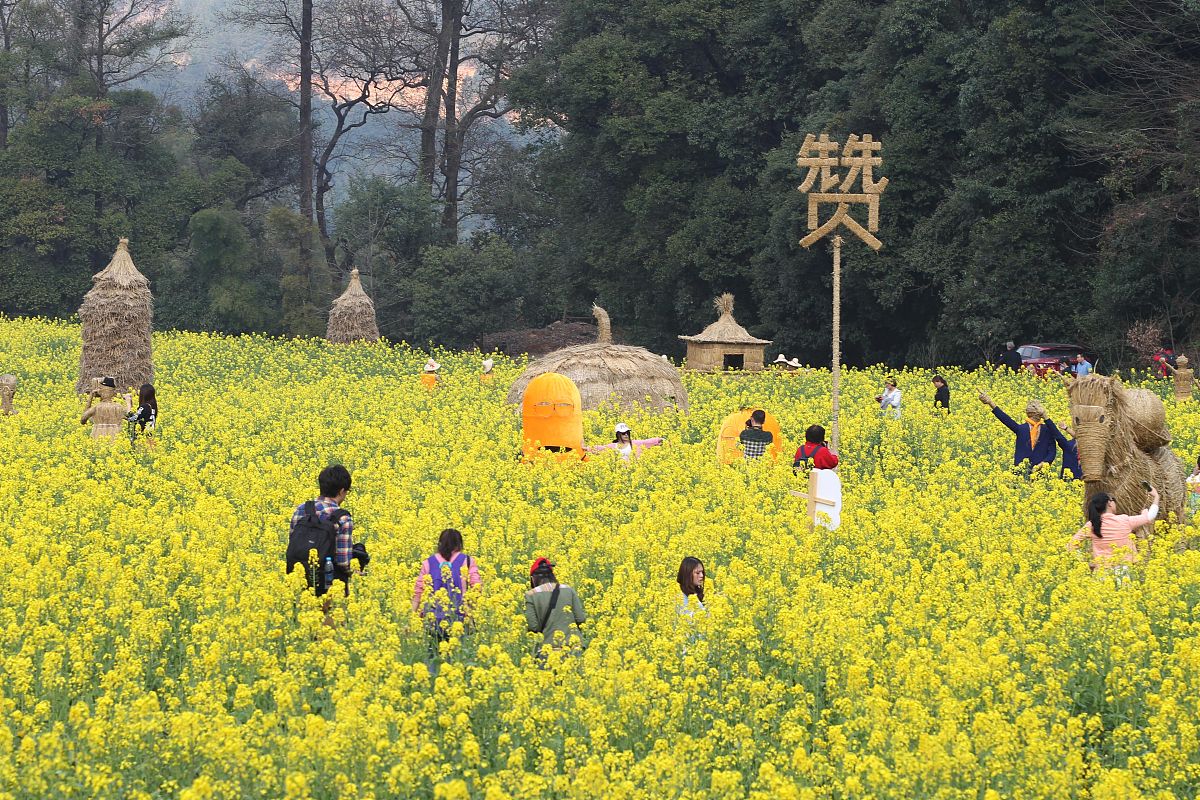 江西婺源茶业职业学院五年制大专有高铁乘务专业吗