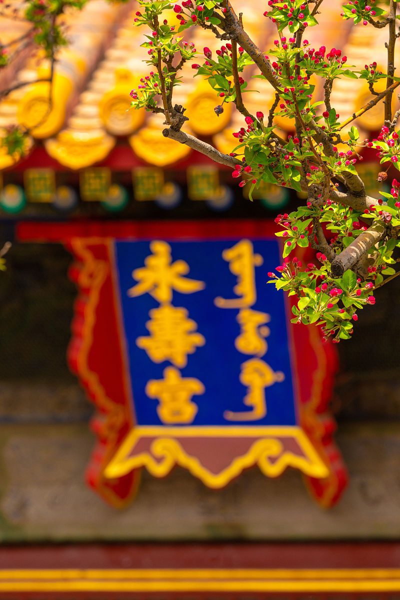 永康蓓蕾学校2022年招生简章