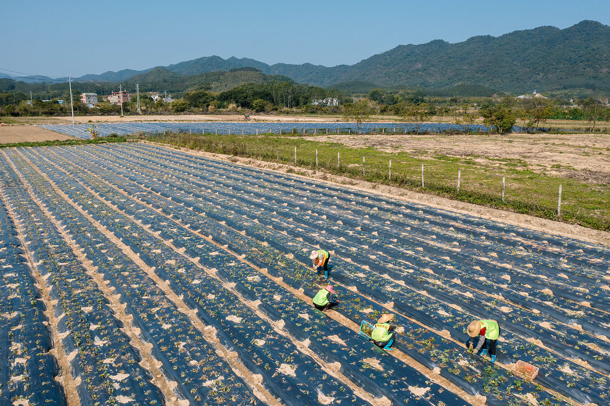 惠州工贸技工学校2022年招生简章 - 专业技术人才培养