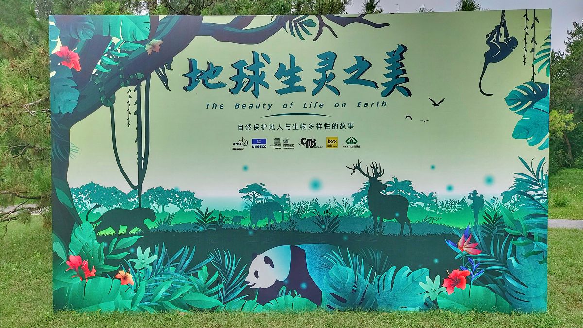 详细的国际生物多样性日宣传实施方案