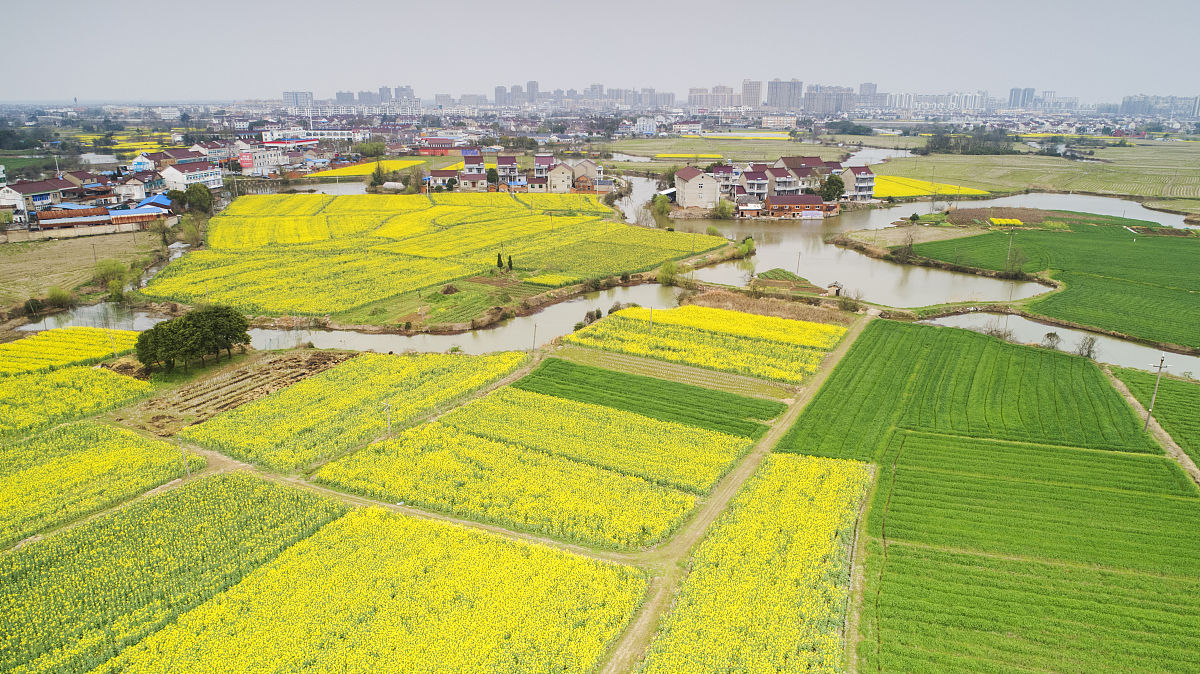 我心中的小河：清澈、快乐与生命之源