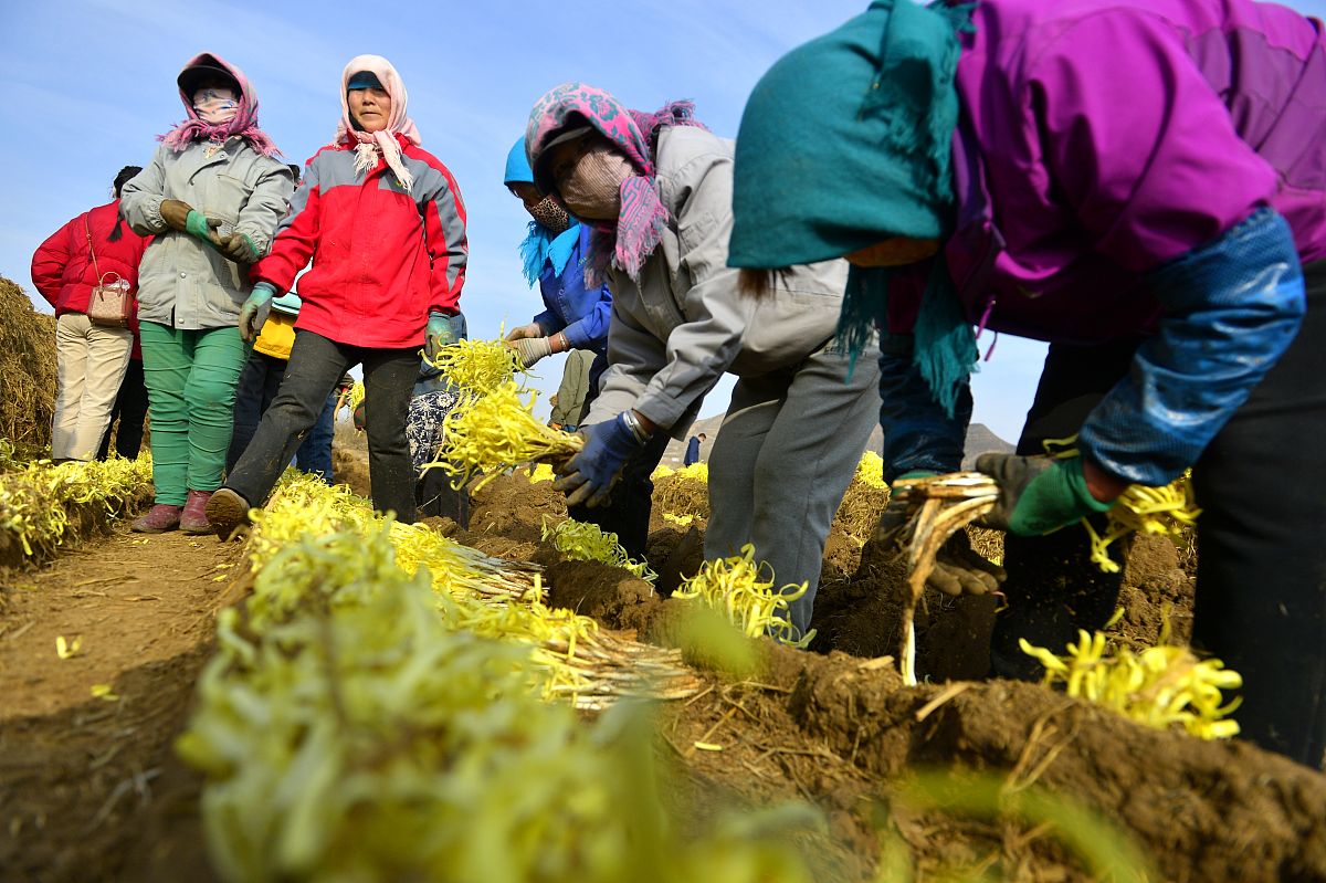 兰州2023年幼师学校推荐：选择最适合你的学校