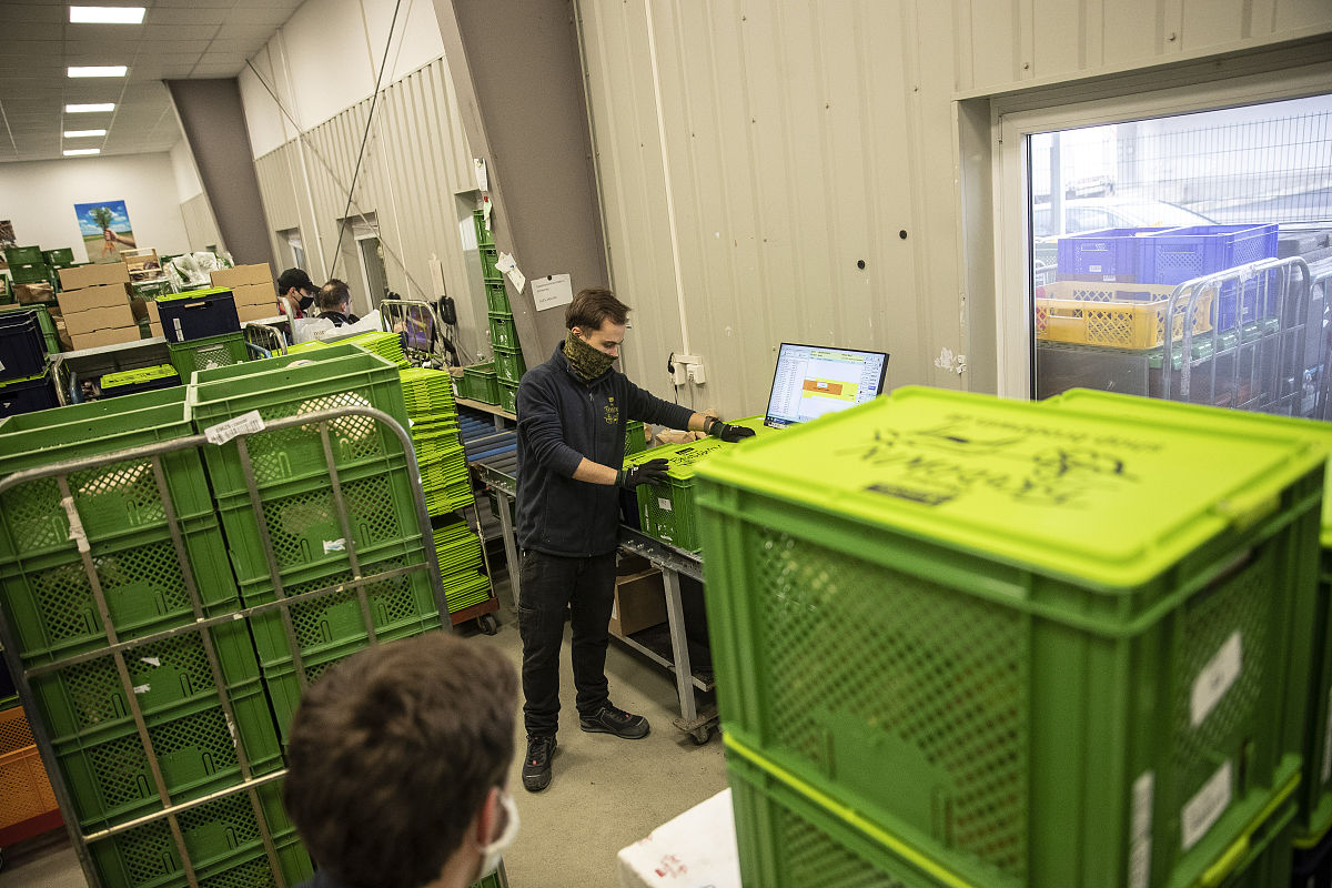 顺丰绿色包装的存在问题目录有哪些