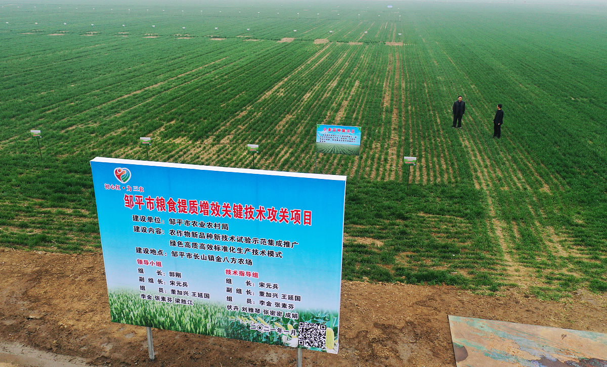 100个创意十足的6字队名：数据、科技、工业领域