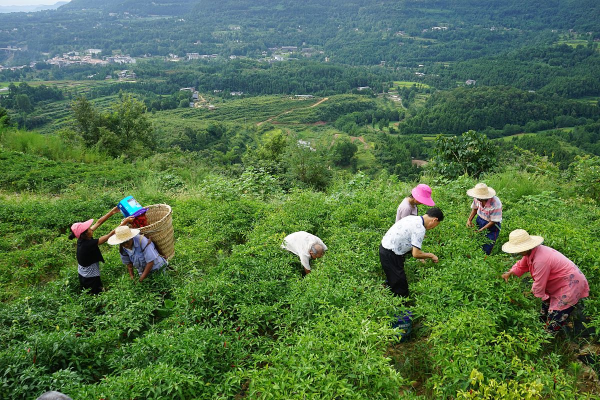 巴中市中专学校排名：哪所学校最适合你？
