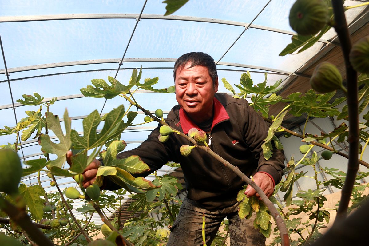 云南文山农业学校2023年现代农艺技术专业招生简章