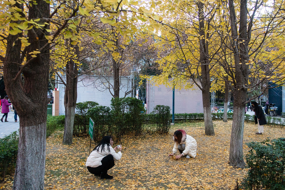 最新收集四川专科学校有哪些