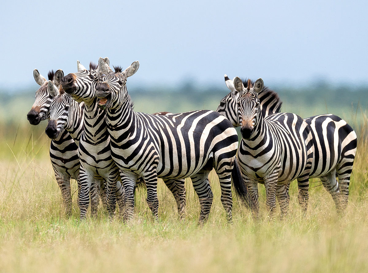LOL哪个位置最容易