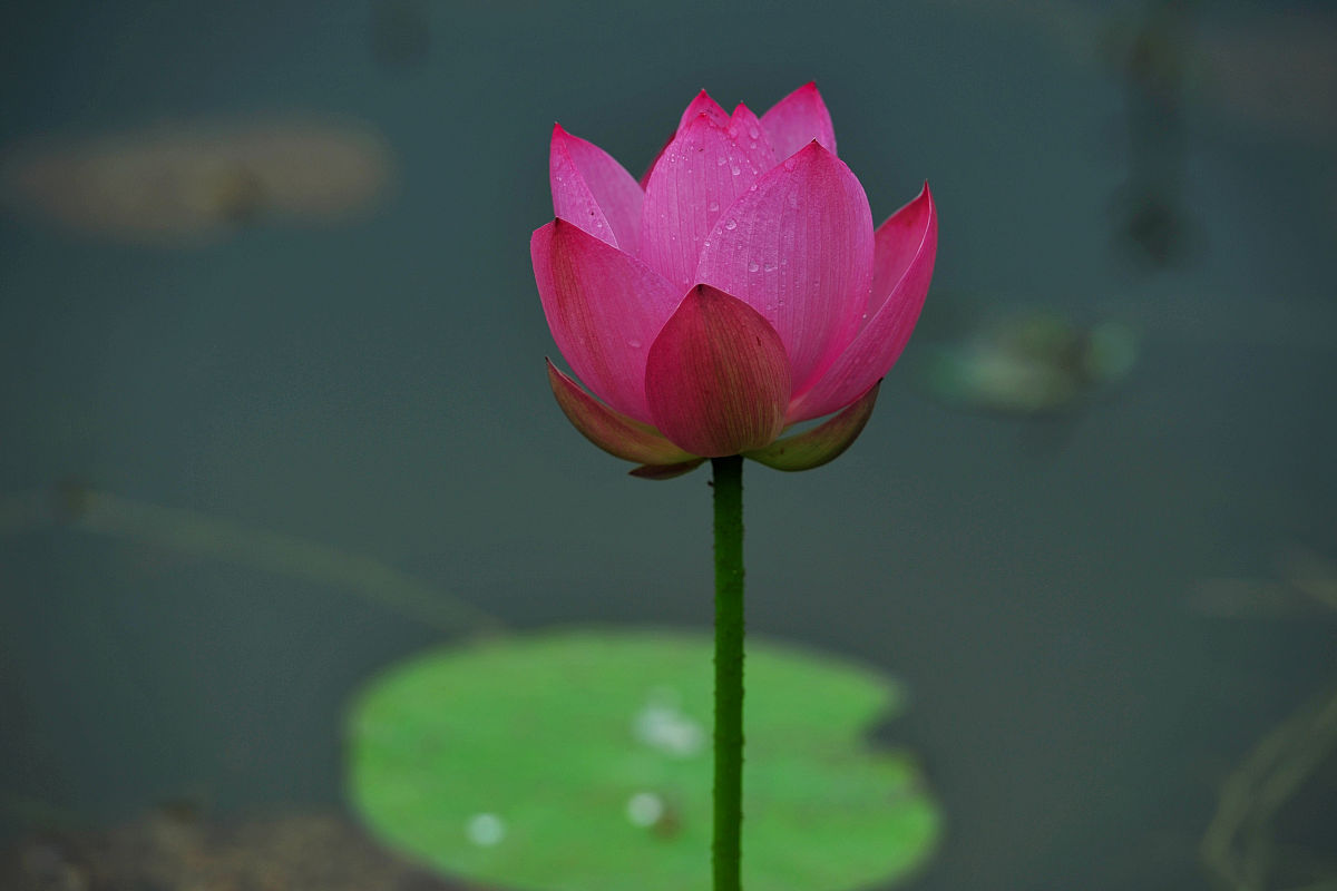 皖北经济技术学校2021年有哪些招生专业