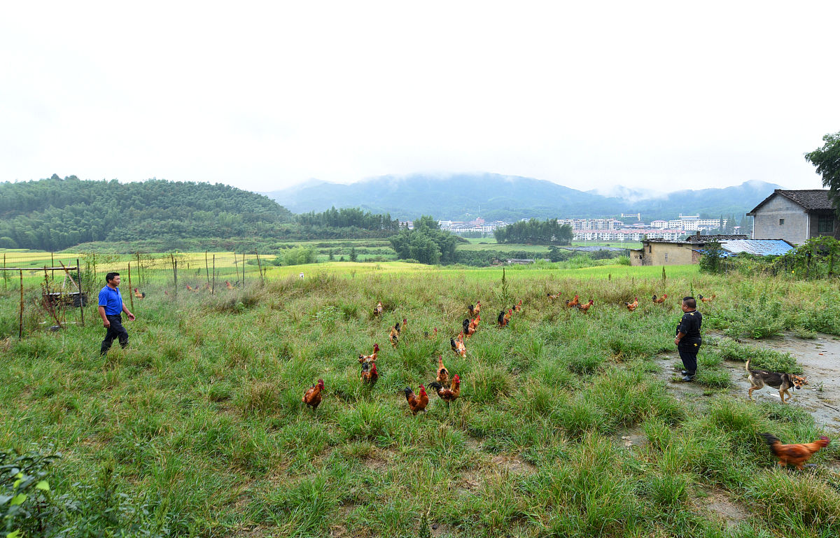 参观XX村养牛基地和八角种植示范基地请你为这活动写出一句活动主题或标题