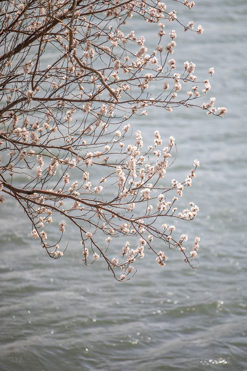 昆明电机技工学校工程监理专业2022年招生