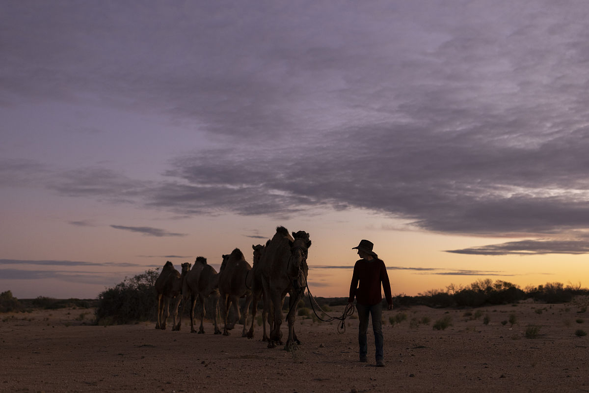 从南京到恩施自驾高速是多少公里？