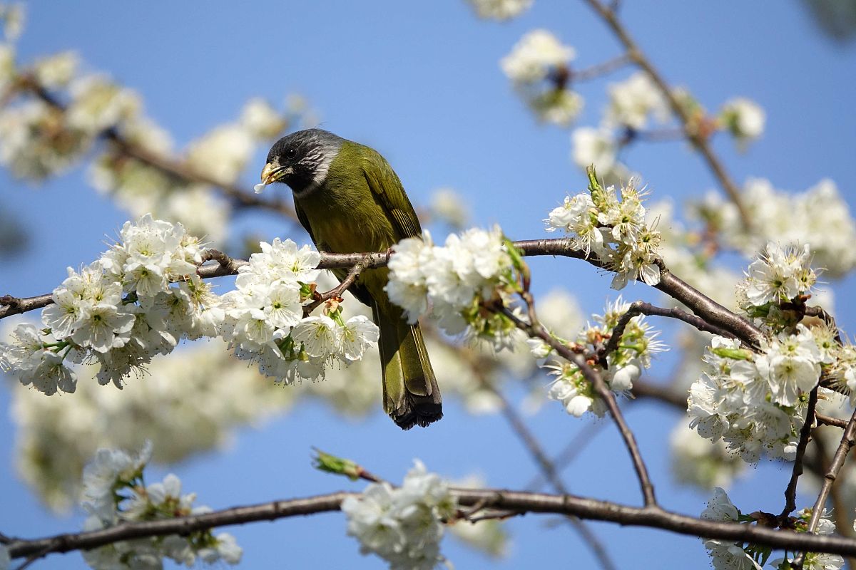 贵阳铁道车辆专业大专学校推荐 - 哪个学校最优秀？
