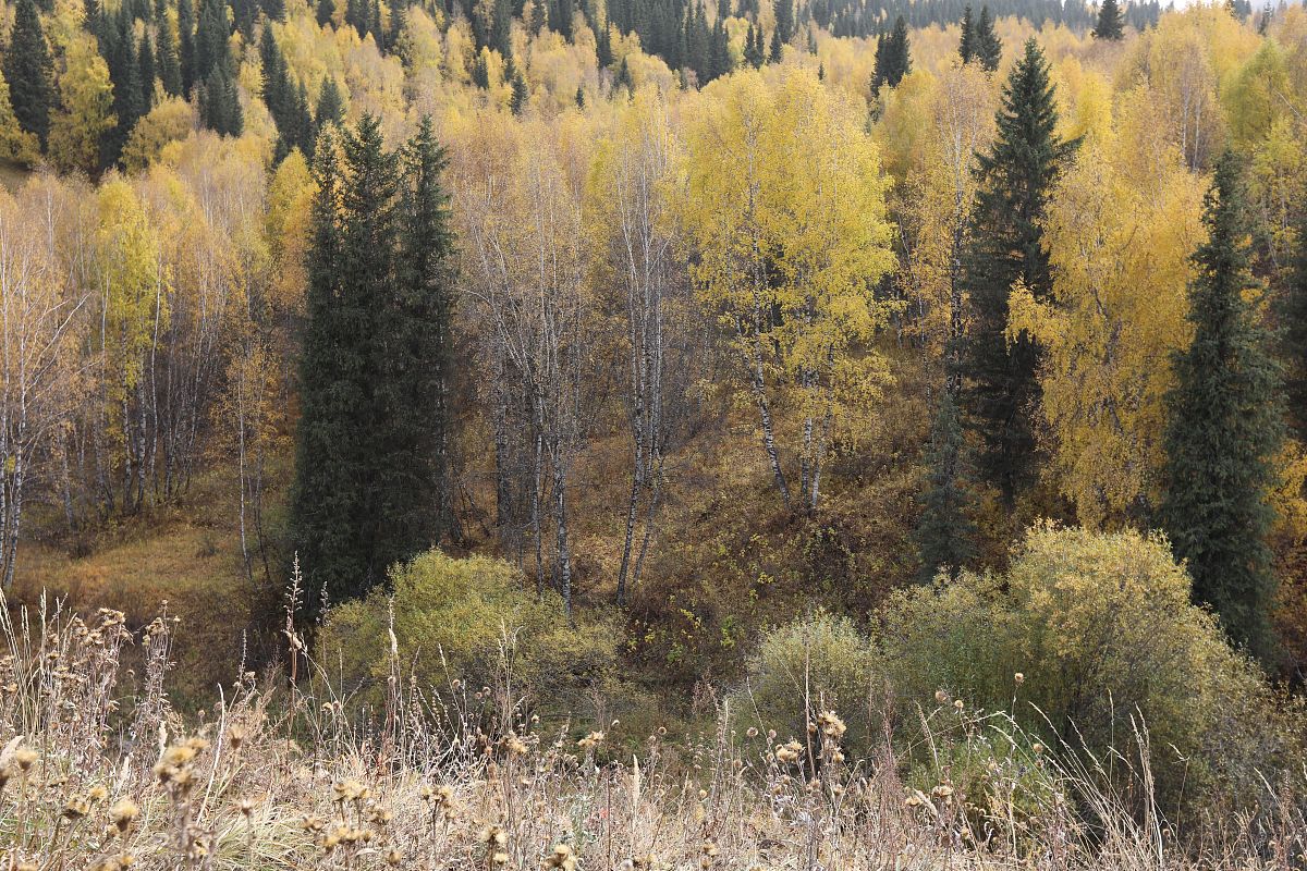 保护生态环境意义