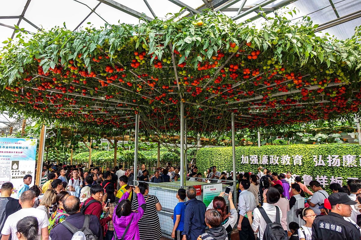 介绍一下山东省寿光市