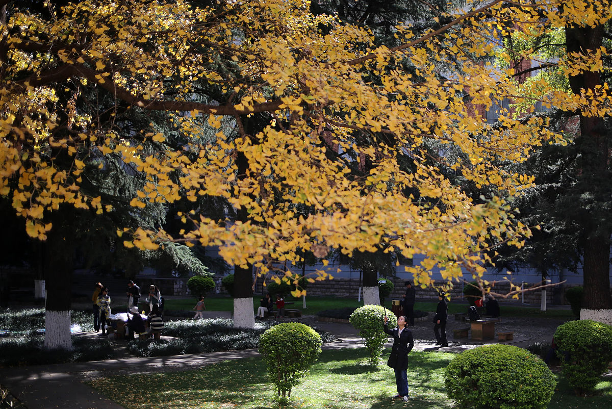 昆明医科大学护理专业介绍