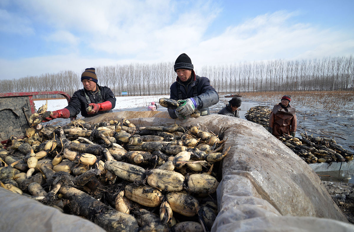 河北2023年中专学校学什么专业有前途怎么样