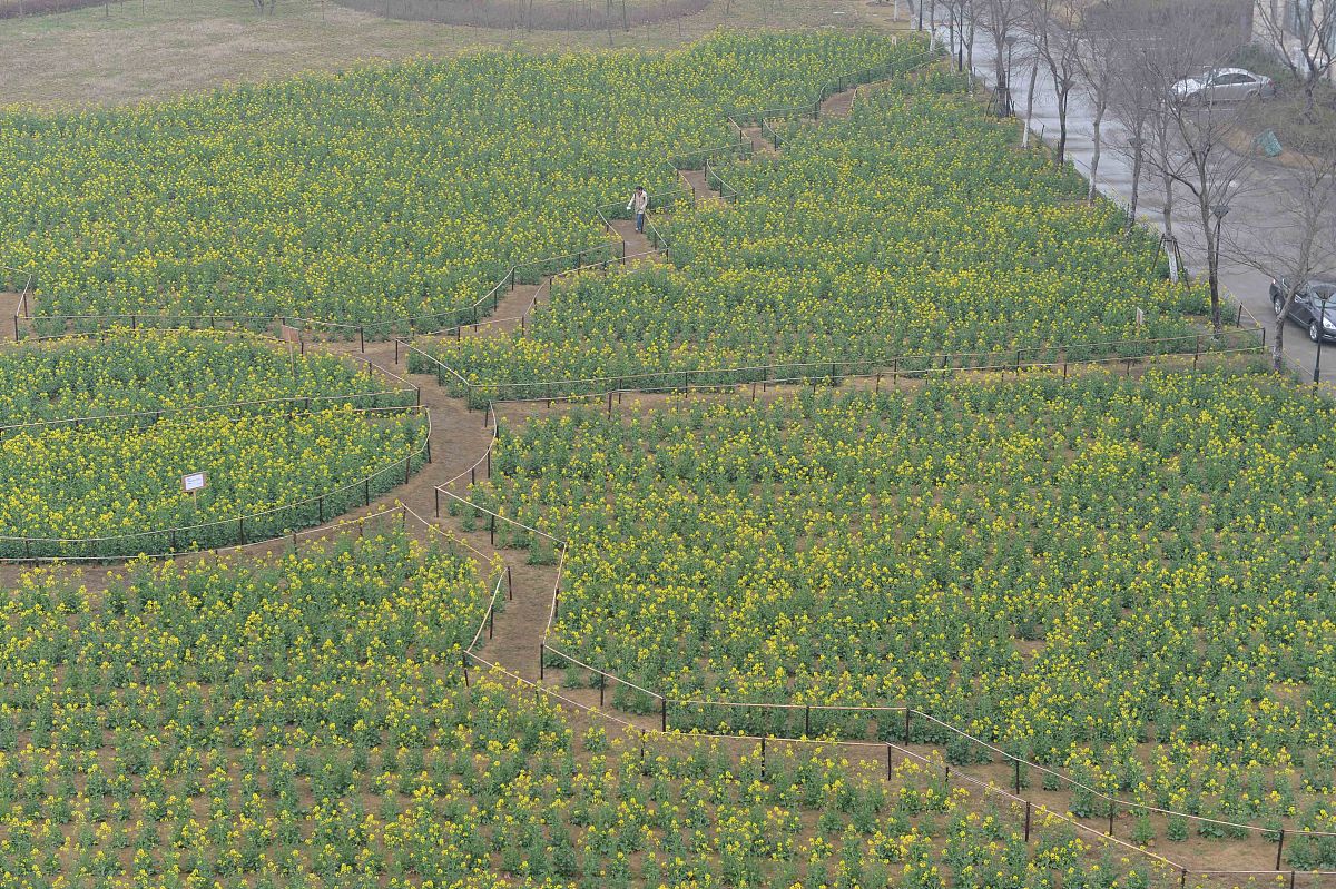 华东师范大学闵行校区中考失利？别慌！选择适合你的升学之路