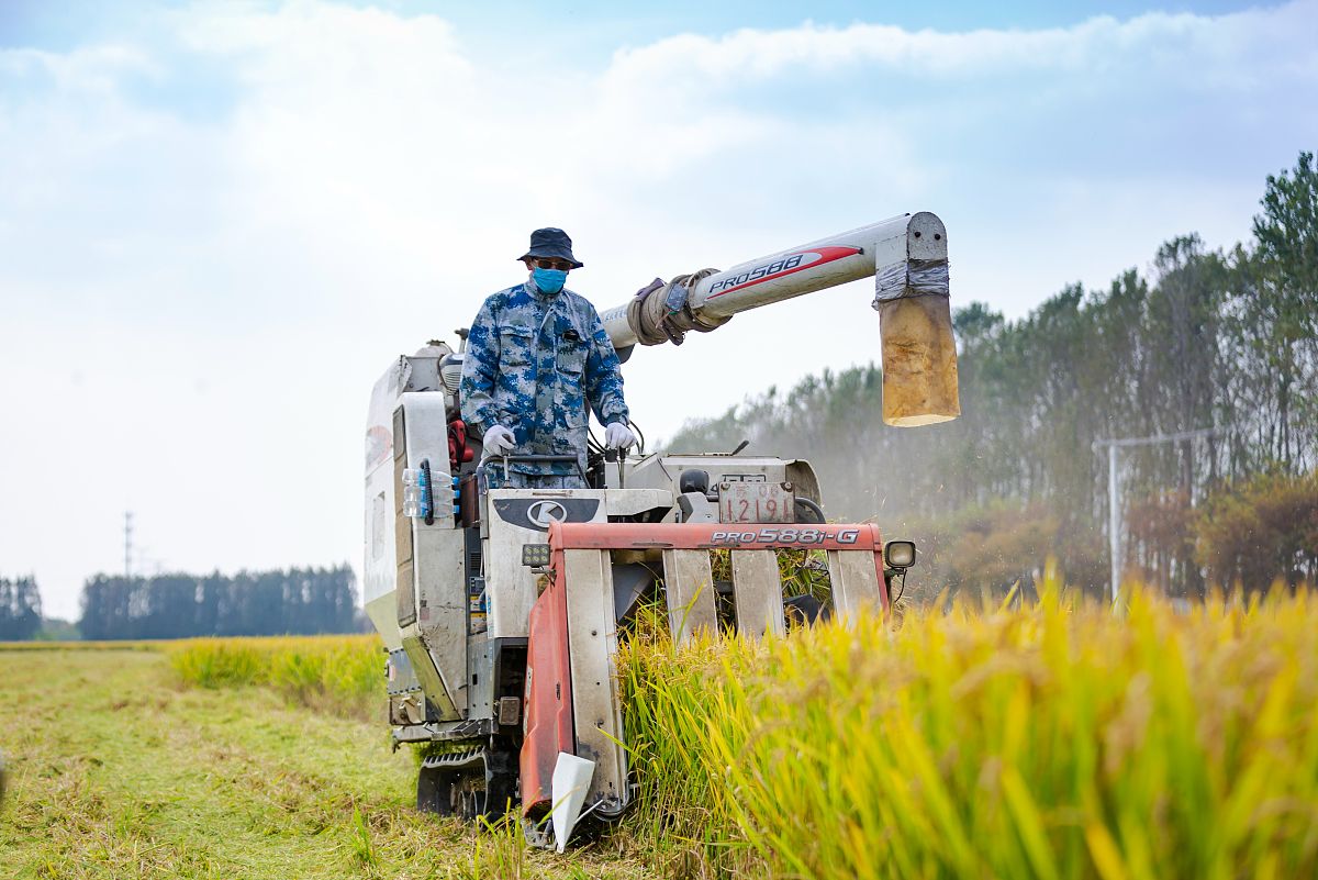 农业机械使用与维护专业就业前景？