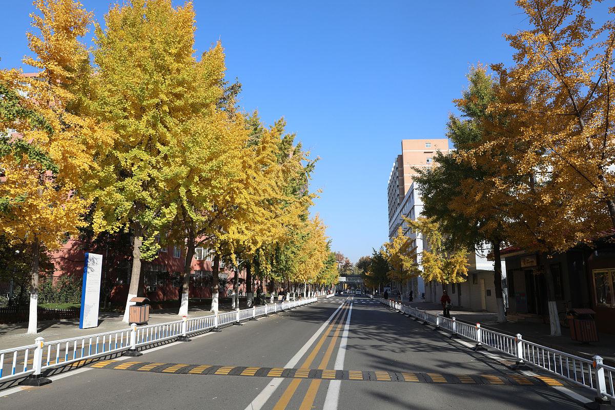 中国地质大学(北京)资源勘查工程专业怎么样？优势劣势分析