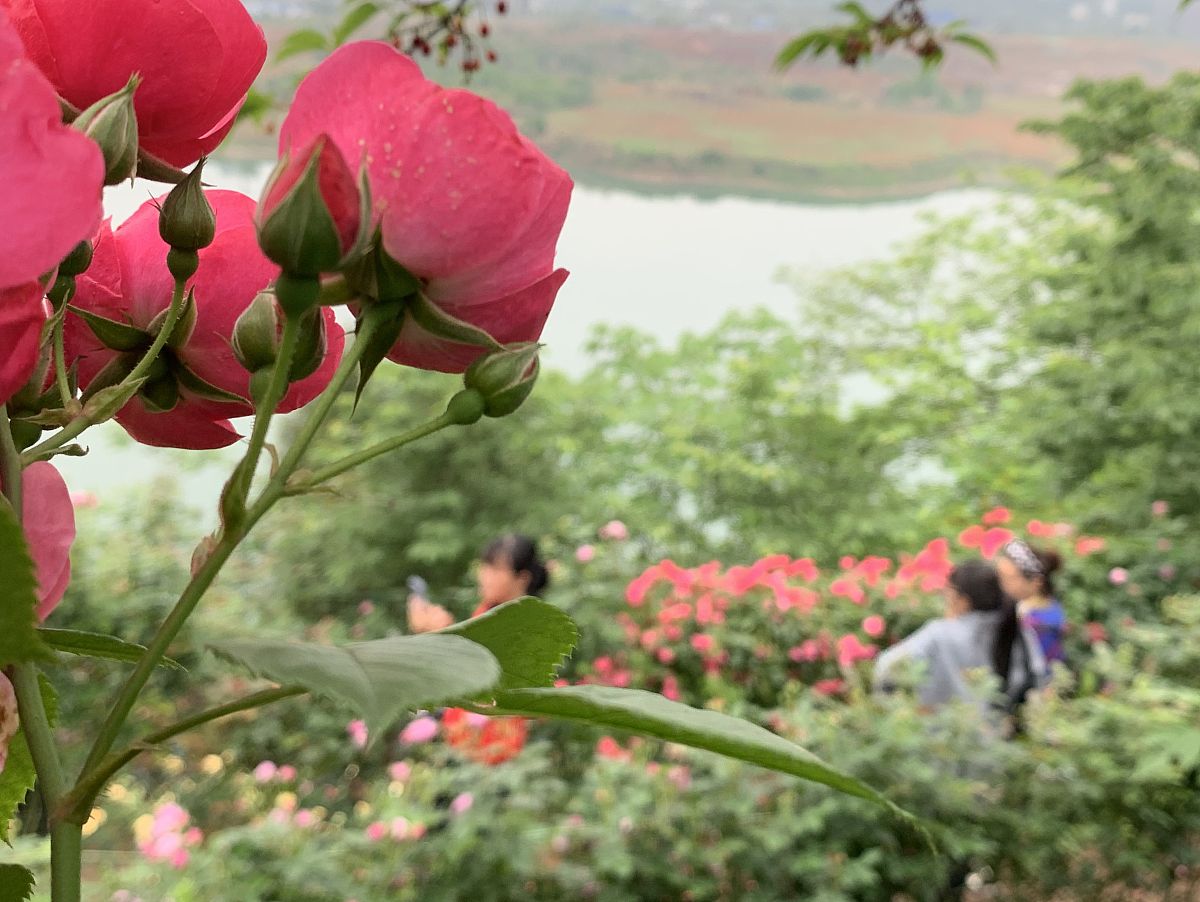 南充旅游职业中专校招生简章 - 培养旅游行业优秀人才