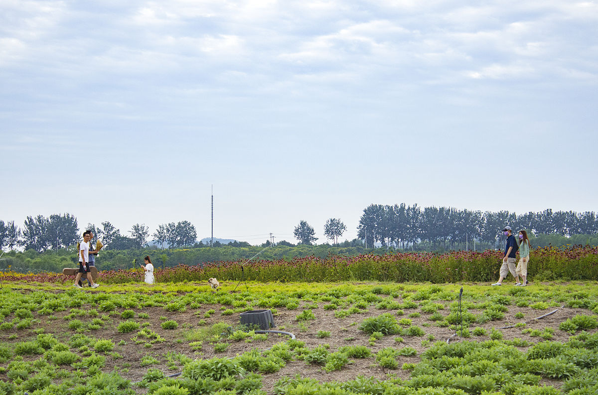 皖北经济技术学校观光农业经营课程：培养农业旅游人才