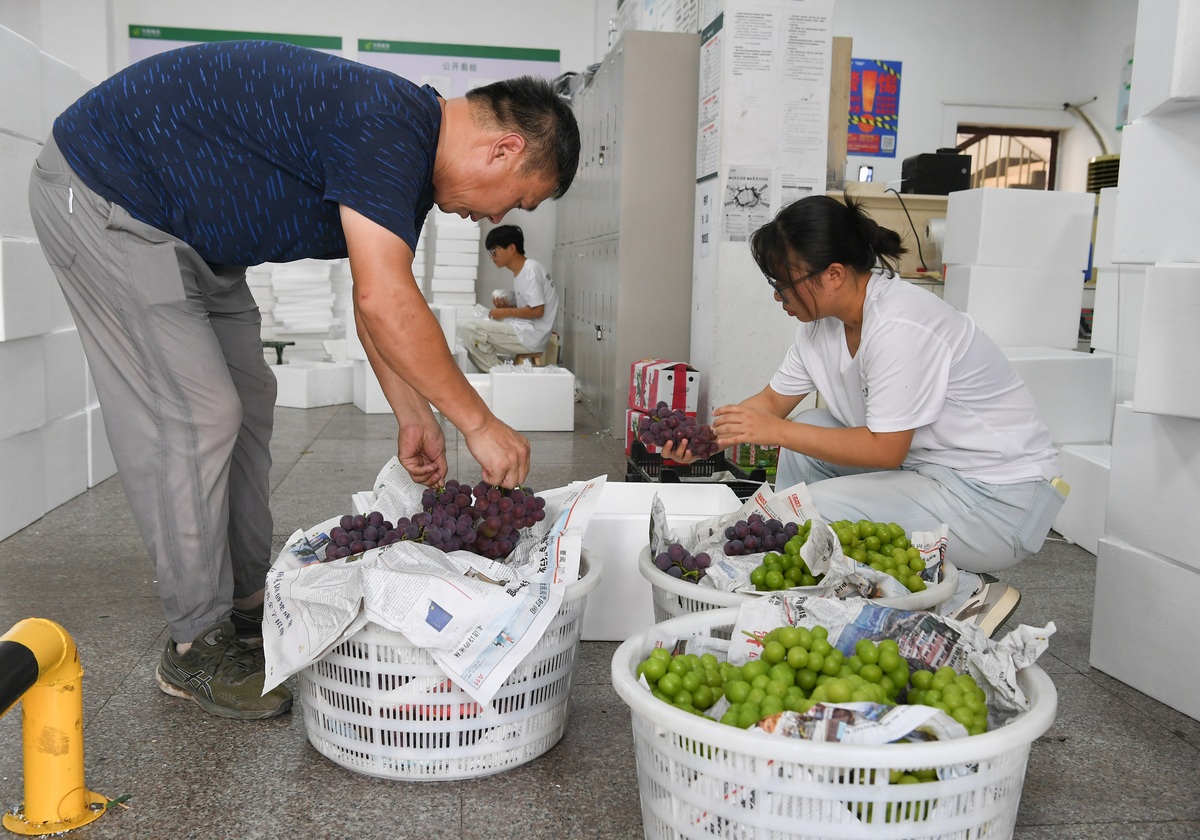 云南文山农业学校2022年招生 | 农产品保鲜与加工专业