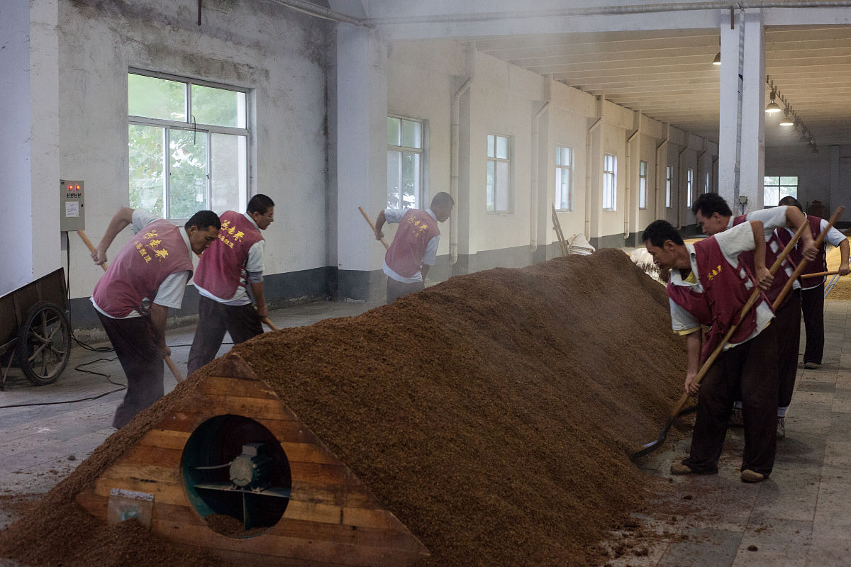 酿酒工艺与技术专业就业前景及方向