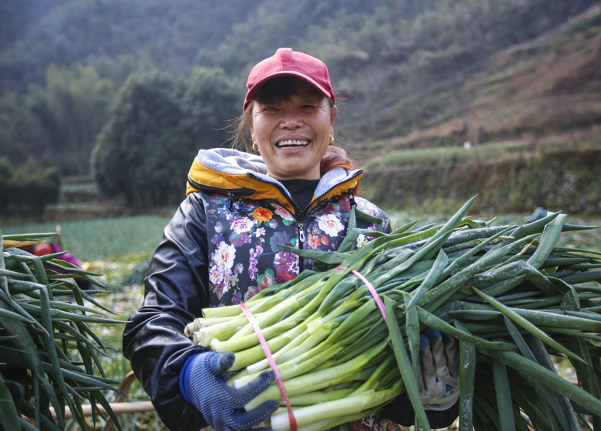 淳安育才学校2021年专业设置：文理兼修，多元发展
