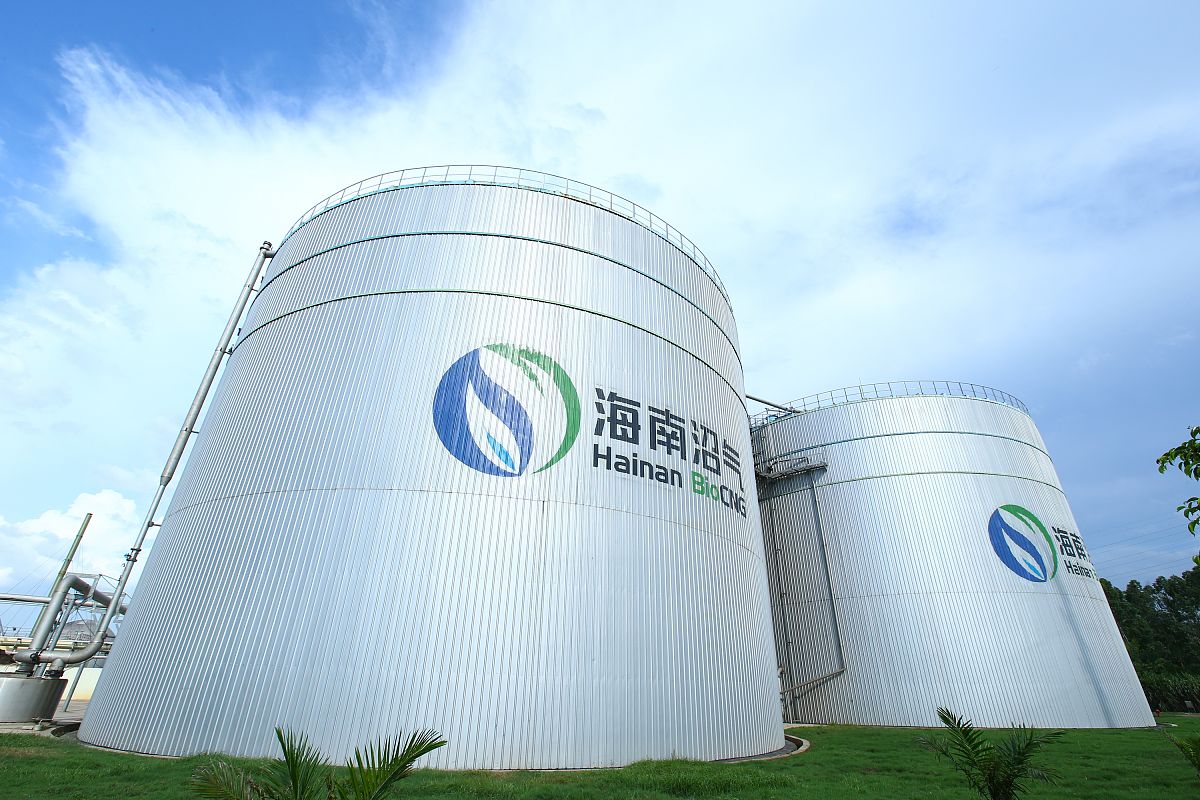 浙江'小巨人'进击之路：能源领域领跑全国，数量位居前列