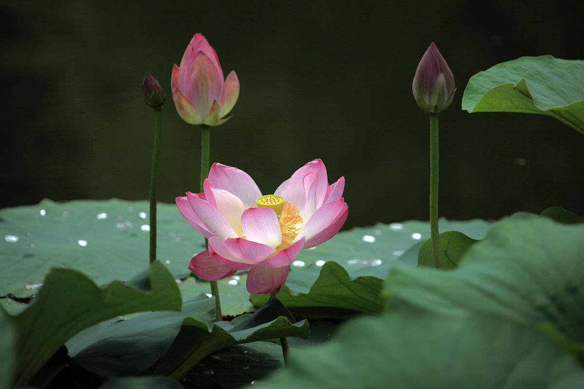 吉林化工学院有哪些专业？