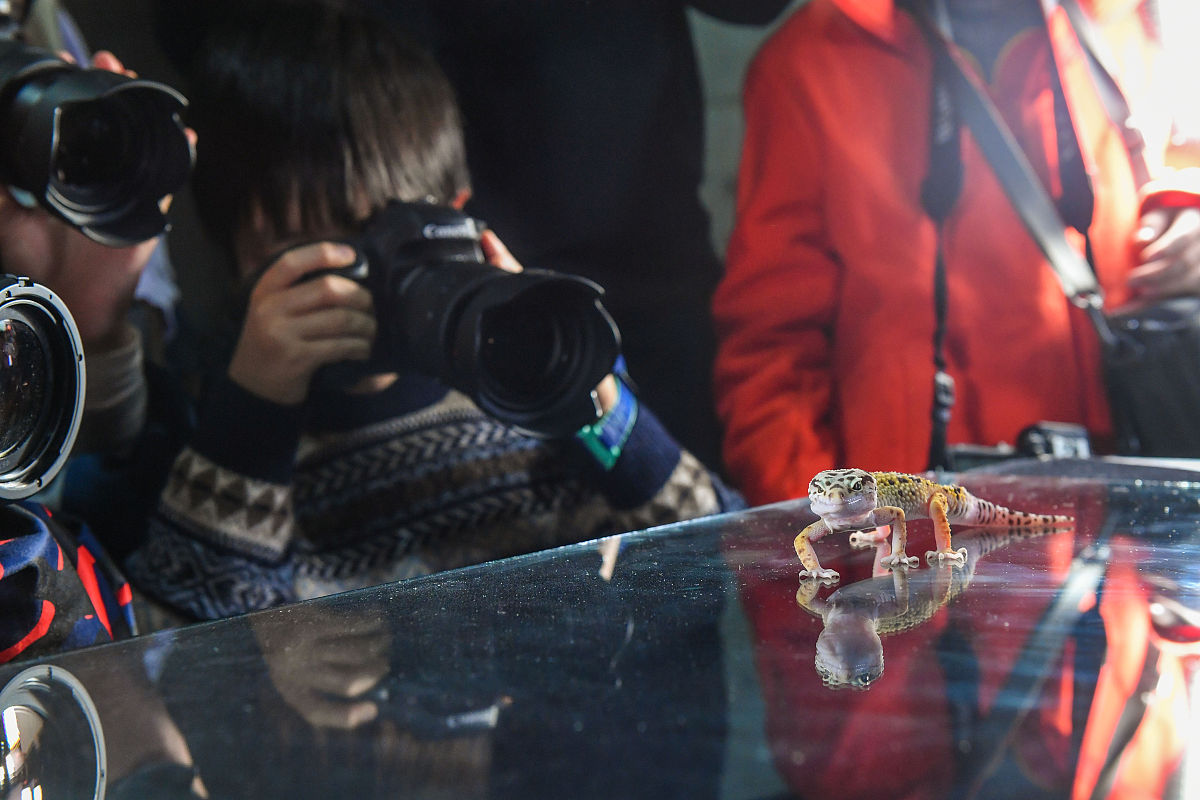 闲业是什么意思_词语闲业的意思