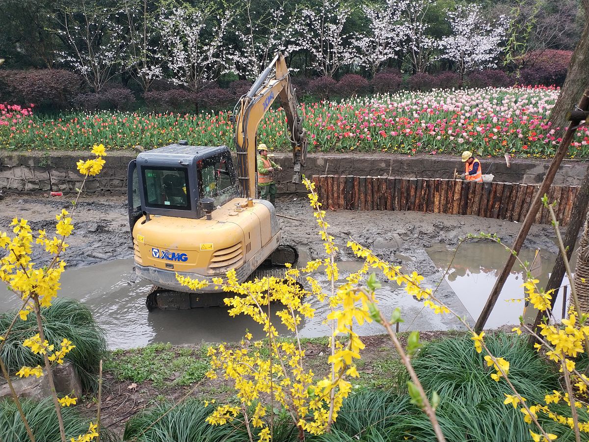 园林工程施工质量控制问题及改进措施 - 提升项目品质