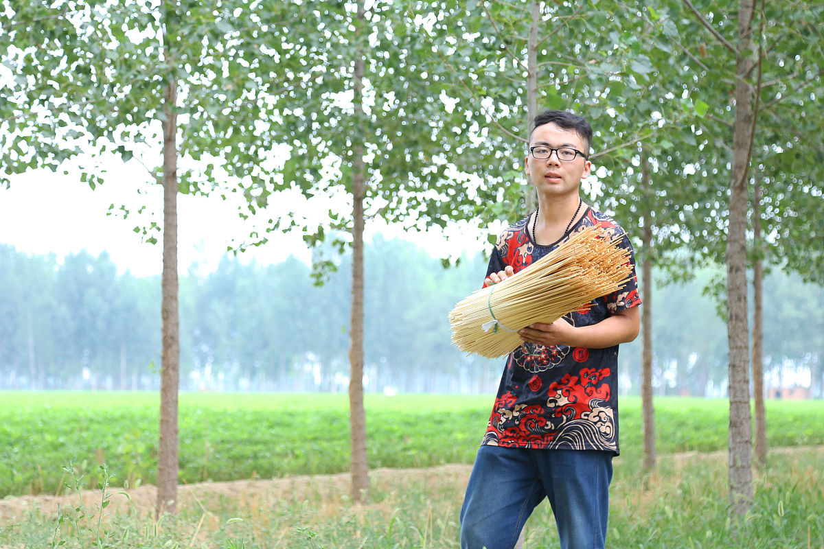 2019年6月21日,河南安阳,还记得小时候玩过的麦秆吗?河南农村小伙孟凡